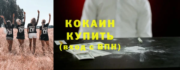 стаф Няндома