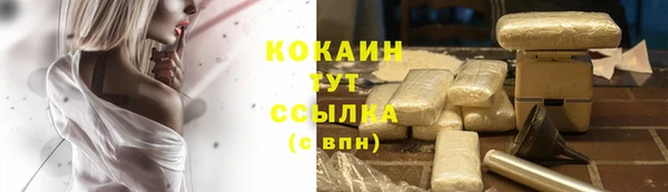 стаф Няндома