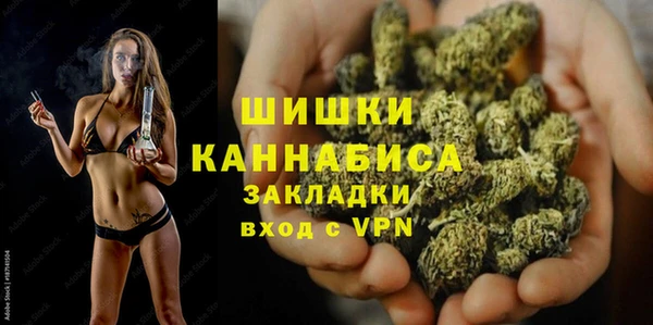 стаф Няндома