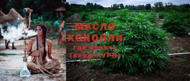 магазин  наркотиков  Полярные Зори  ТГК THC oil 